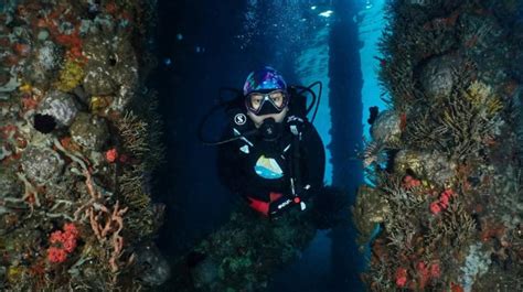 dnr philippines|DENR adopts NISSAP to address threats to PH biodiversity.